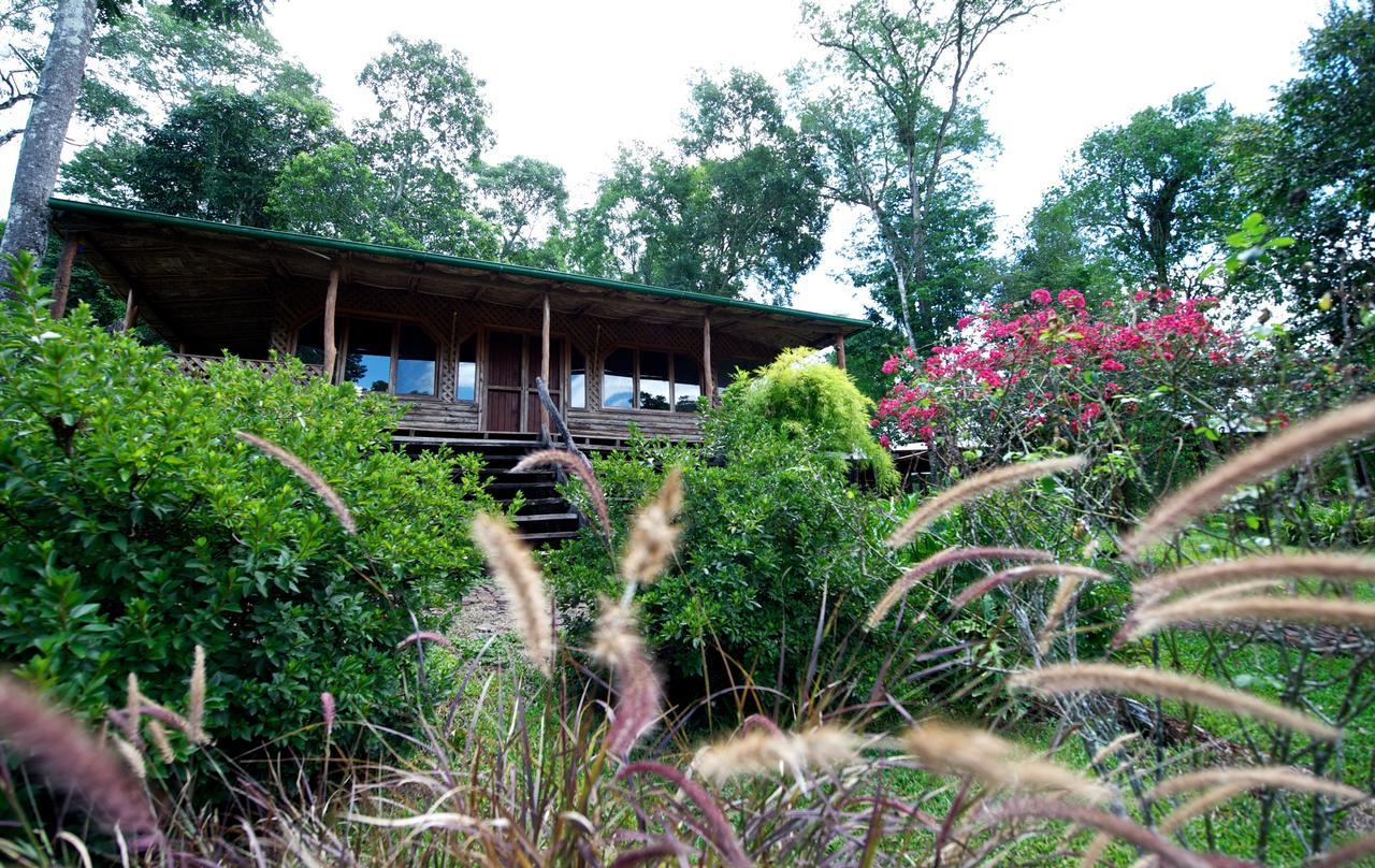La Mision Mocona - Lodge De Selva Saltos del Moconá Zimmer foto